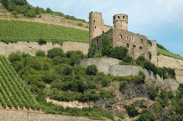 Ehrenfels Castle (Hesse)