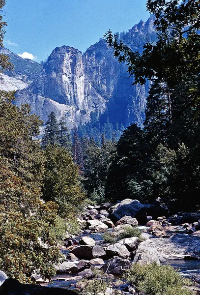 Conservation in the United States