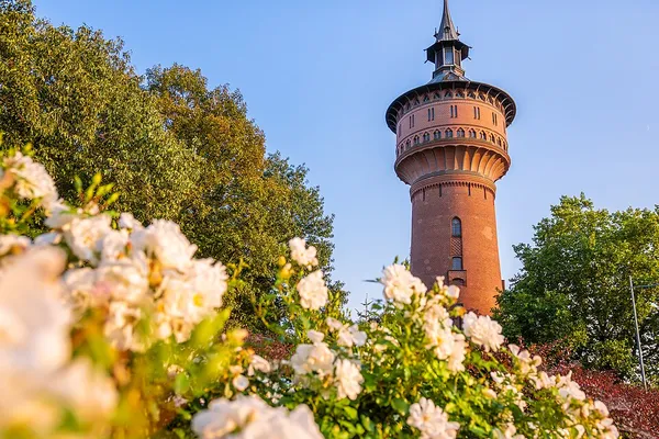 Forst (Lausitz)