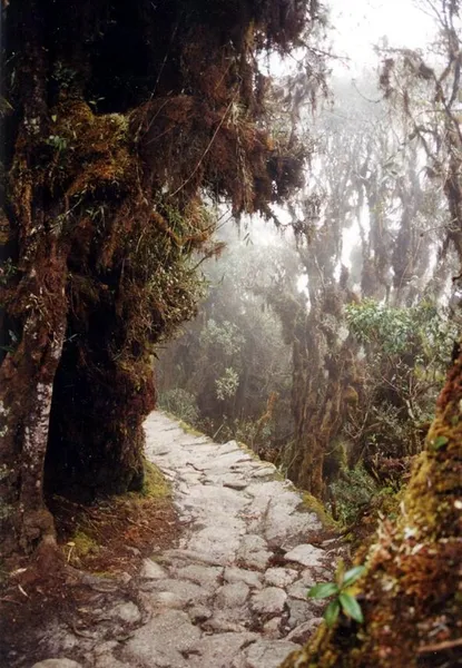 Inca Trail to Machu Picchu