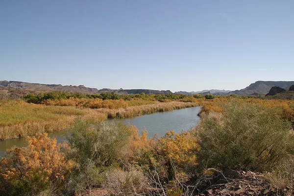 Bill Williams River National Wildlife Refuge