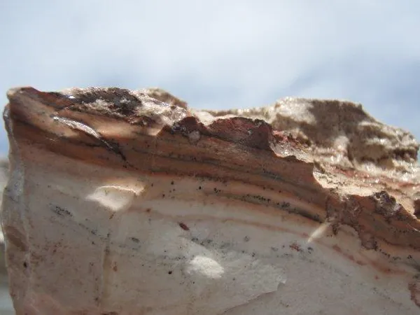 Caymanite