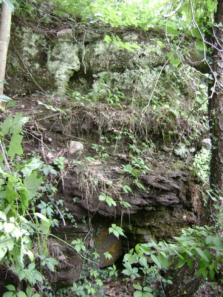 Boonton Formation