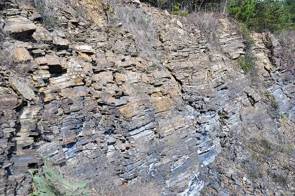 Cow Branch Formation