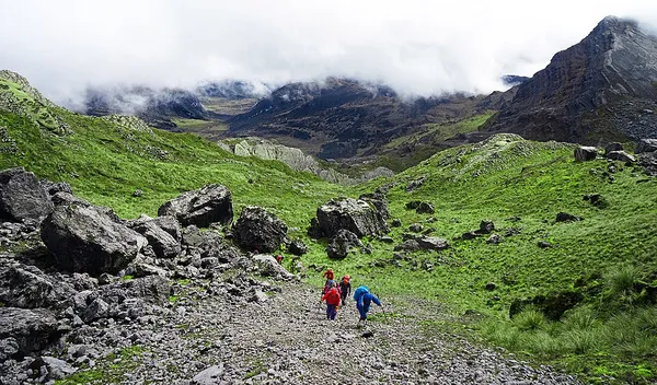 Central Range sub-alpine grasslands