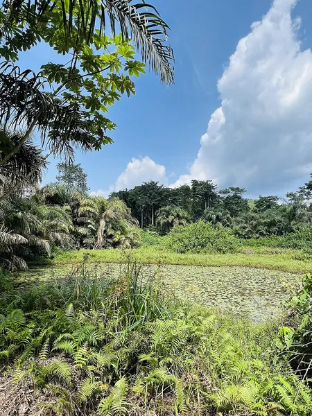 Bia National Park