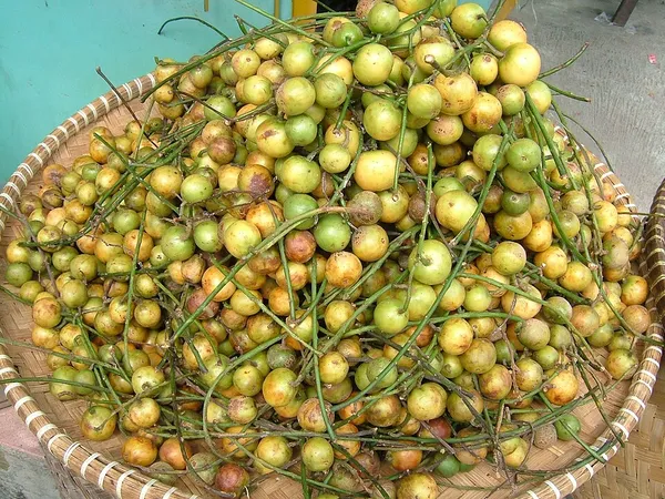 Baccaurea