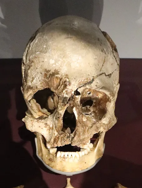 Cheddar Man