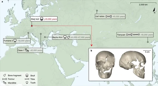Cro-Magnon