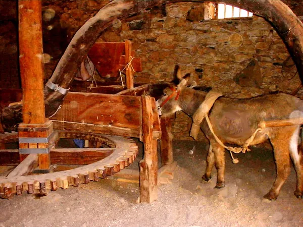 Horse mill