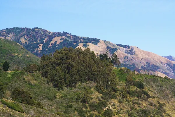 California montane chaparral and woodlands