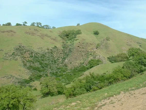 California interior chaparral and woodlands