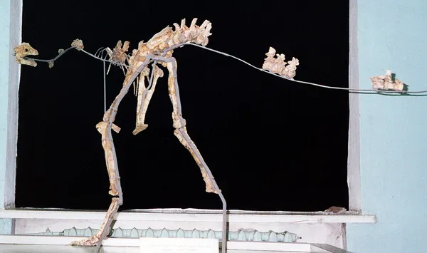 Garudimimus
