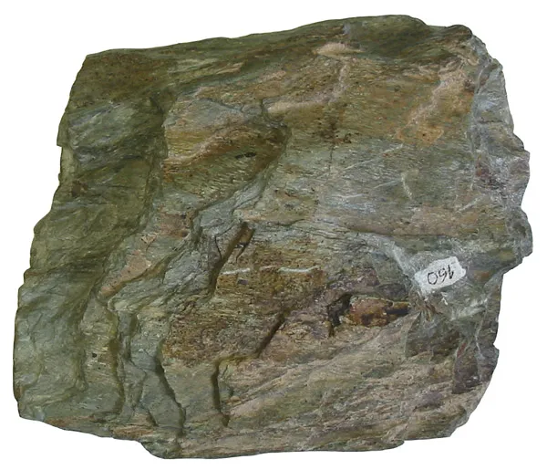 Greenschist