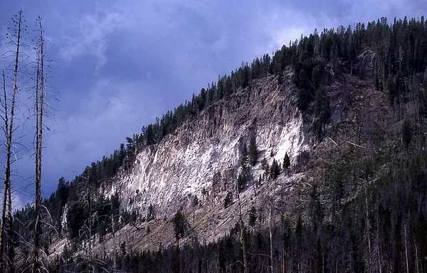 Lava Creek Tuff