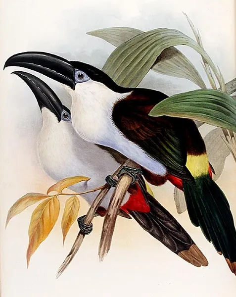 Colibri del Sol Bird Reserve