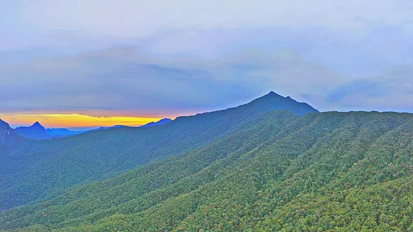 Borneo montane rain forests