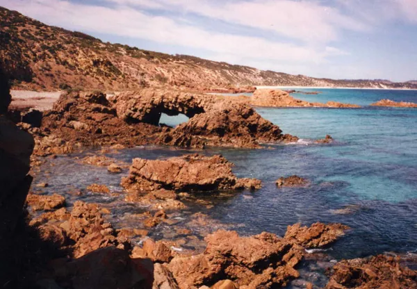 Emu Bay Shale