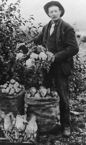 History of Italians in Mississippi