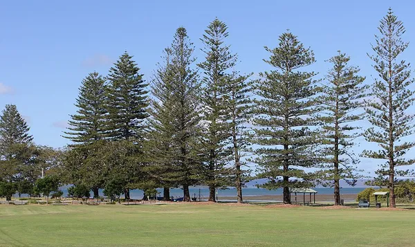 Cleveland, Queensland