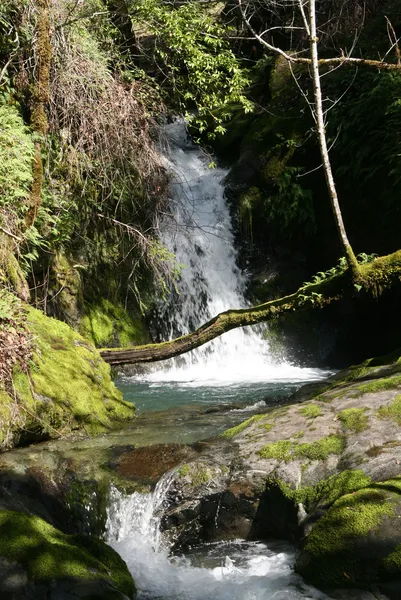 Galbreath Wildlands Preserve