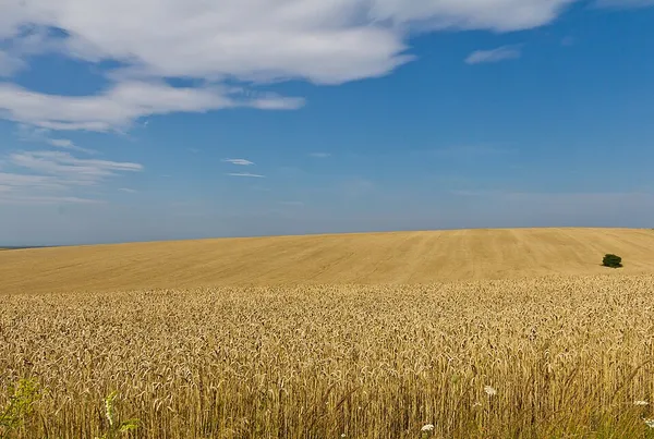 Geography of Ukraine