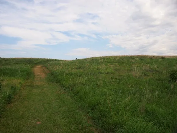 Buffalo River State Park (Minnesota)
