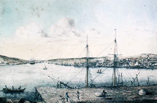 Fort William, Newfoundland