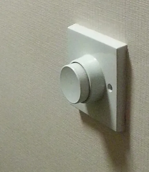 Dashpot timer
