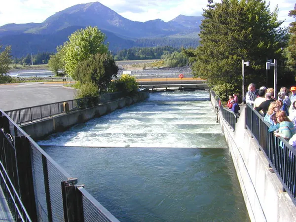 Fish ladder