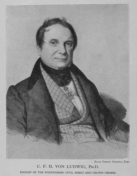 Carl Ferdinand Heinrich von Ludwig