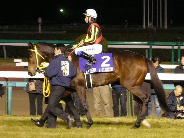 Buena Vista (horse)