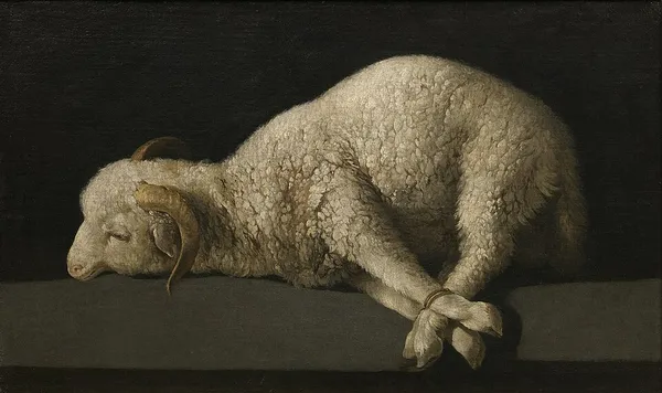 Agnus Dei (Zurbarán)