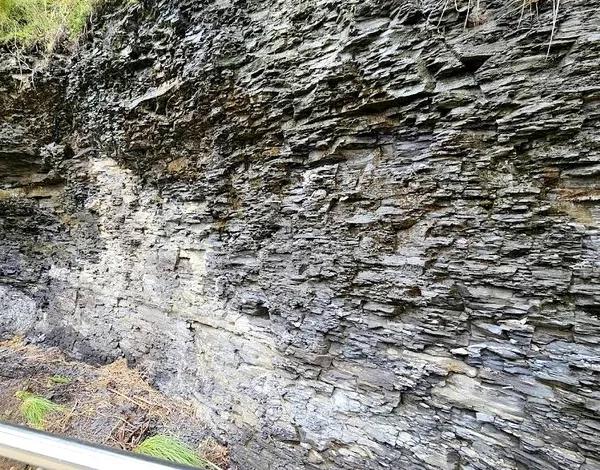 Ashfield Shale