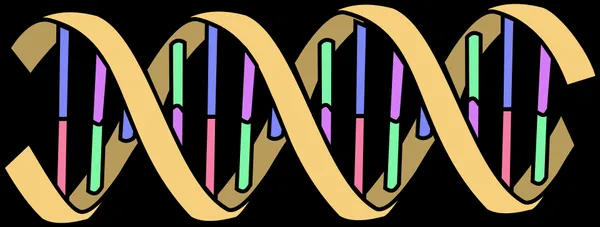 Glossary of biology