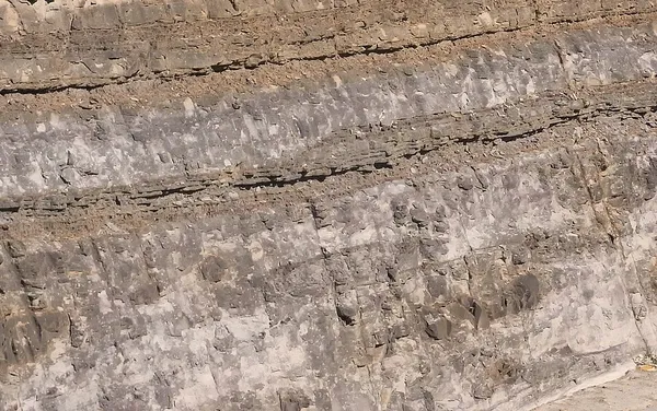 Bringelly Shale