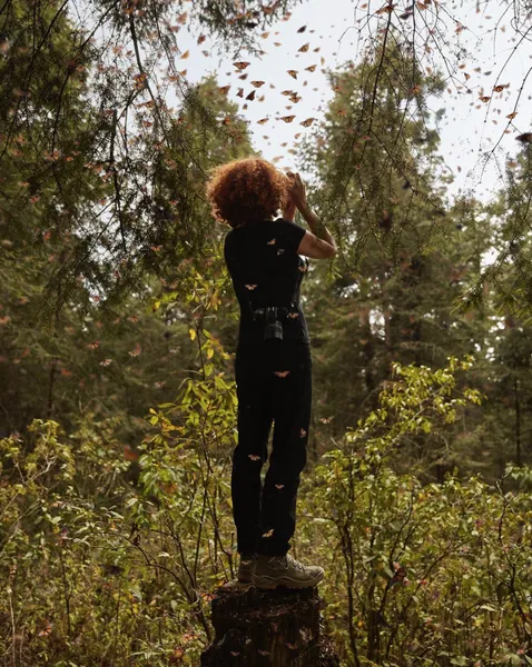 Desiree Dolron