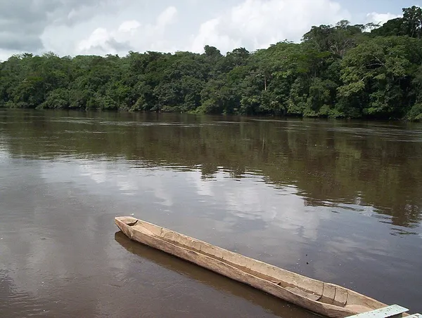 Dja Faunal Reserve