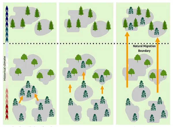 Assisted migration