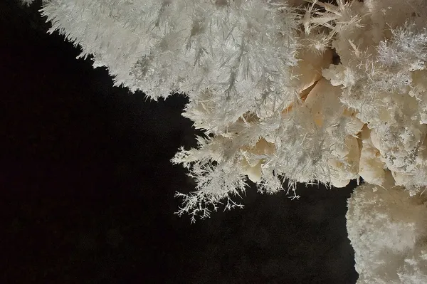 Frostwork (geology)