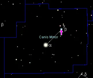 Beta Canis Minoris
