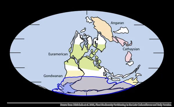 Late Paleozoic icehouse