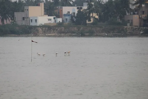 Korattur Aeri