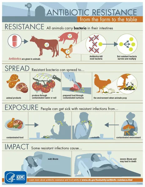 Antibiotic use in livestock