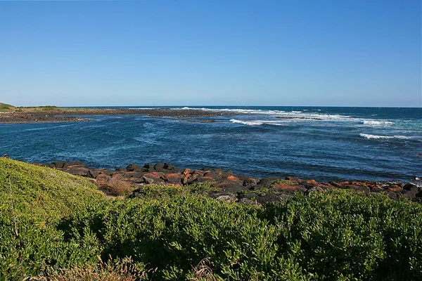 Griffiths Island