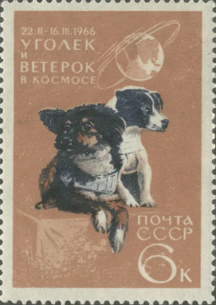Kosmos 110
