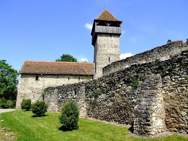 Câlnic Fortress