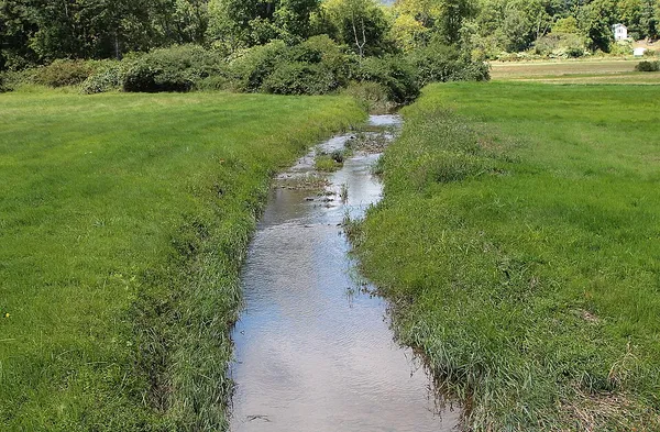 East Branch Briar Creek