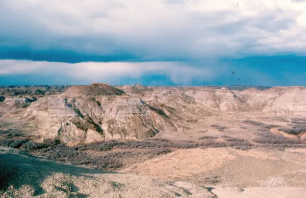 Dinosaur Park Formation