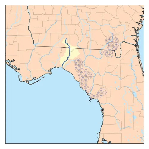 Aucilla River